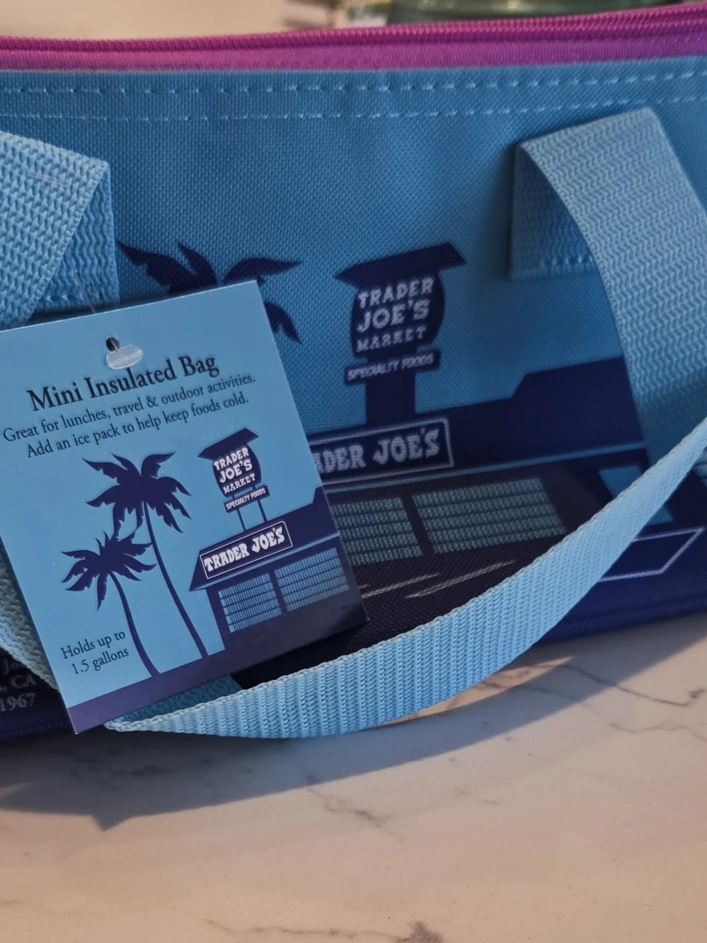 Trader Joe's Mini Insulated Lunch Bag - Turquoise with Pink Zipper